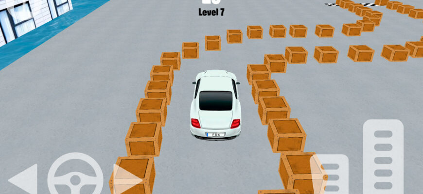 Real Car Parking 3D