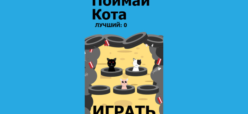 Поймай Кота