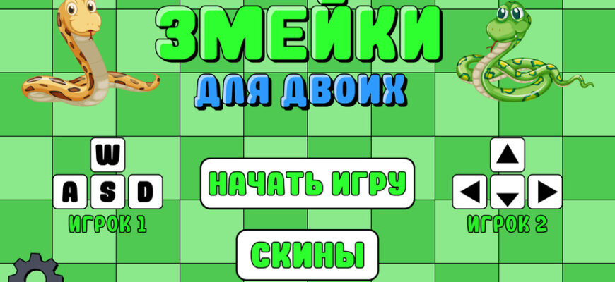 Змейки для двоих