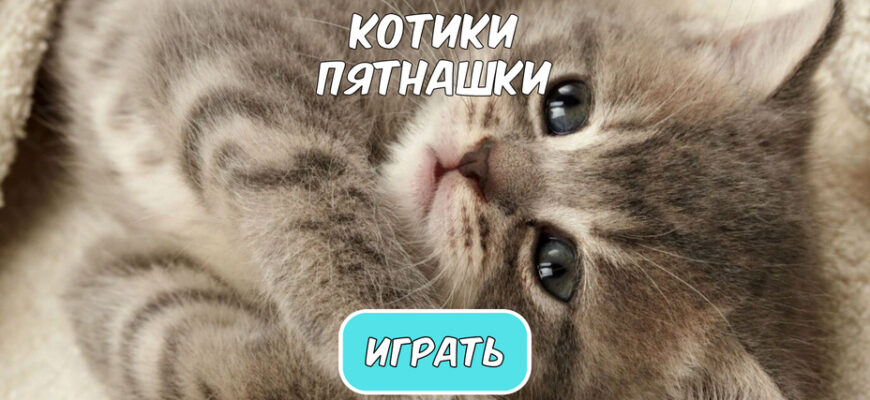 Котики Пятнашки